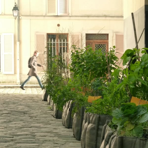 Baclong 3 Stoffpflanzgefäß, 110 l, Geotextil 4 Baclong 3 Stoffpflanzgefäß, 110 l, Geotextil – Bild 2