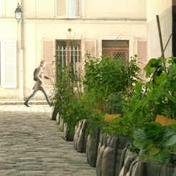 Bacsquare 4 Stoffpflanzgefäß, 140 l, Geotextil -Urban Im Freien 15Bacsac iso 2