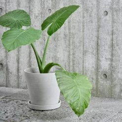 Hay Blumentopf Und Untersetzer, M, Grau -Urban Im Freien 17NewHay HV 1