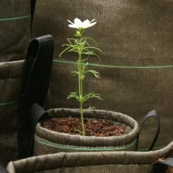 Blumentopf, 10 l, Geotextil -Urban Im Freien 25Bacsac iso 1