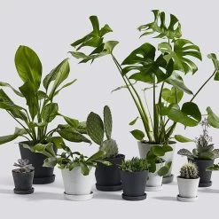 Hay Blumentopf Und Untersetzer, L, Grau 7 Hay Blumentopf Und Untersetzer, L, Grau -Urban Im Freien 5 FV Hay iso