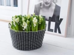 Korbo Planting Bag 35, 3 Stück 11 Korbo Planting Bag 35, 3 Stück -Urban Im Freien Classic 35 Flowers