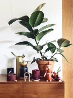 Klong Svante Gießkanne, Messing -Urban Im Freien Fds joulu1718 media