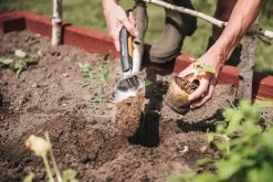 Fiskars Xact Blumenkelle -Urban Im Freien Fiskars Garden Action Summer Harvest Xact Trowel 1027043 02