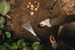 Fiskars Xact Blumenkelle -Urban Im Freien Fiskars Garden Action Xact Trowel Hand rake 1027043 1027044