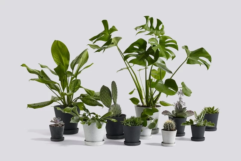 Hay Blumentopf Und Untersetzer, L, Grau 6 Hay Blumentopf Und Untersetzer, L, Grau – Bild 4