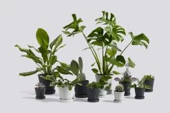 Hay Blumentopf Und Untersetzer, XL, Schwarz -Urban Im Freien Flowerpot Family 6