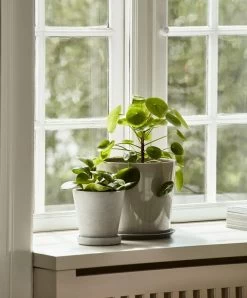 Hay Botanical Family Blumentopf Mit Untersetzer, L, Hellgrau -Urban Im Freien Flowerpot with Saucer grey Botanical Family light grey