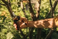 Fiskars X-Series Bypass-Astschere L, P961 -Urban Im Freien Gardening Action X Series Pruner Bypass P961 1057175 01