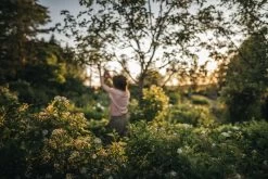 Fiskars X-Series Bypass-Astschere L, P961 -Urban Im Freien Gardening Action X Series Pruner Bypass P961 1057175 06