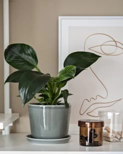 Hay Botanical Family Blumentopf Mit Untersetzer, M, Salbeigrün -Urban Im Freien Home Office Design Stories x My Full House 13