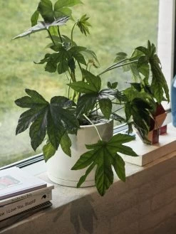 Hay Plant Pot Mit Untersetzer, XXL, Weiß -Urban Im Freien Plant Pot with Saucer off white