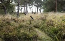 Louis Poulsen AJ Garden Wegeleuchte, Lang, 3000 K, Erdspieß Mit Adapter -Urban Im Freien SS23 AJ Garden Tall 3 10010role 1