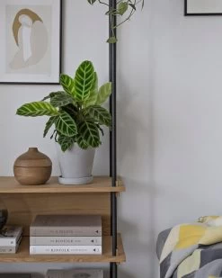 Hay Blumentopf Und Untersetzer, M, Grau -Urban Im Freien design stories x my full house 4