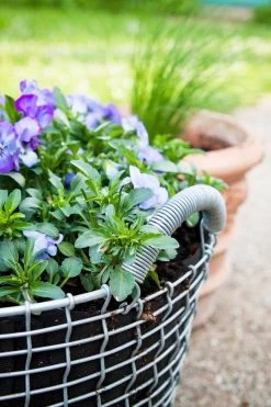 Korbo Planting Bag 24, 3 Stück -Urban Im Freien korbo Classic 24 Pansy